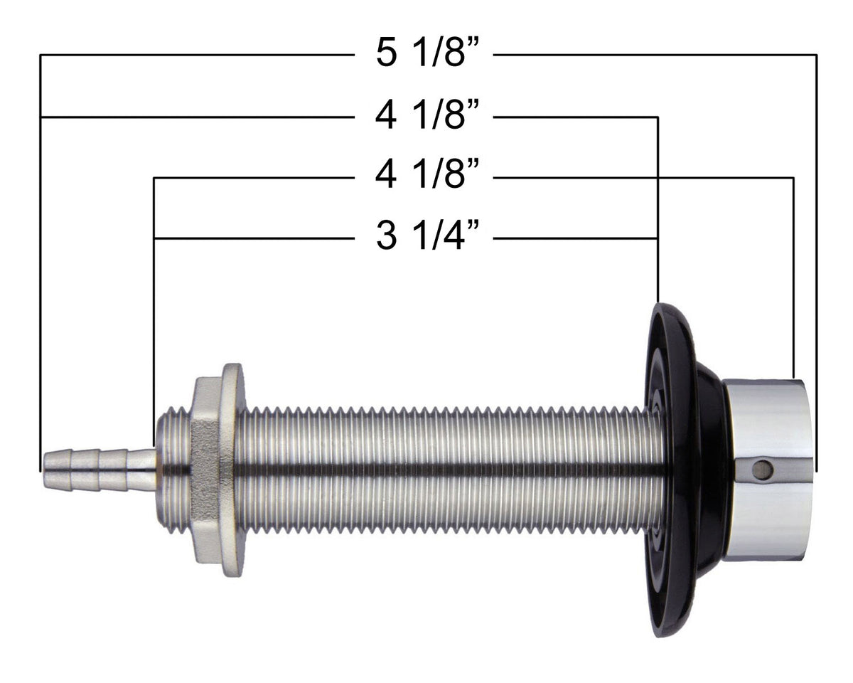 SHANK4-asc 2