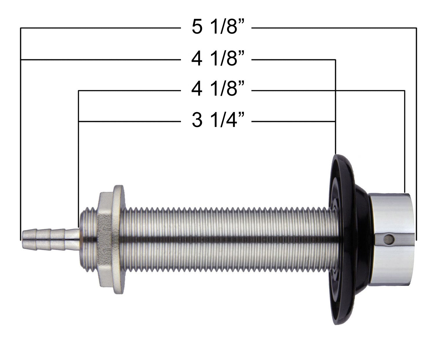 SHANK4-asc 2