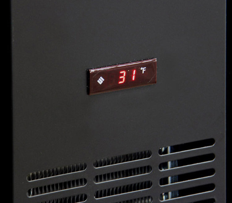 Digital Temperature Display