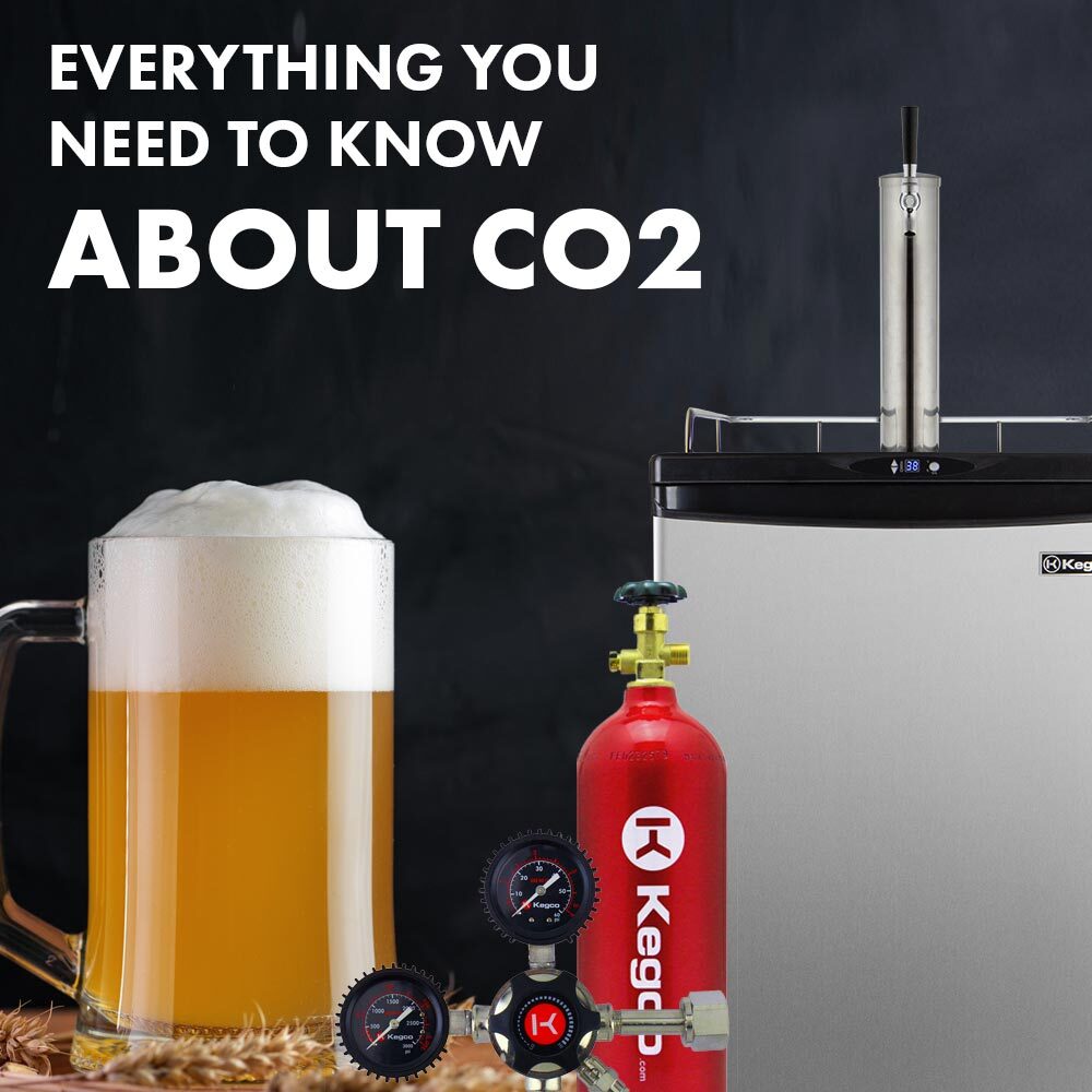 Everything You Need To Know About CO2