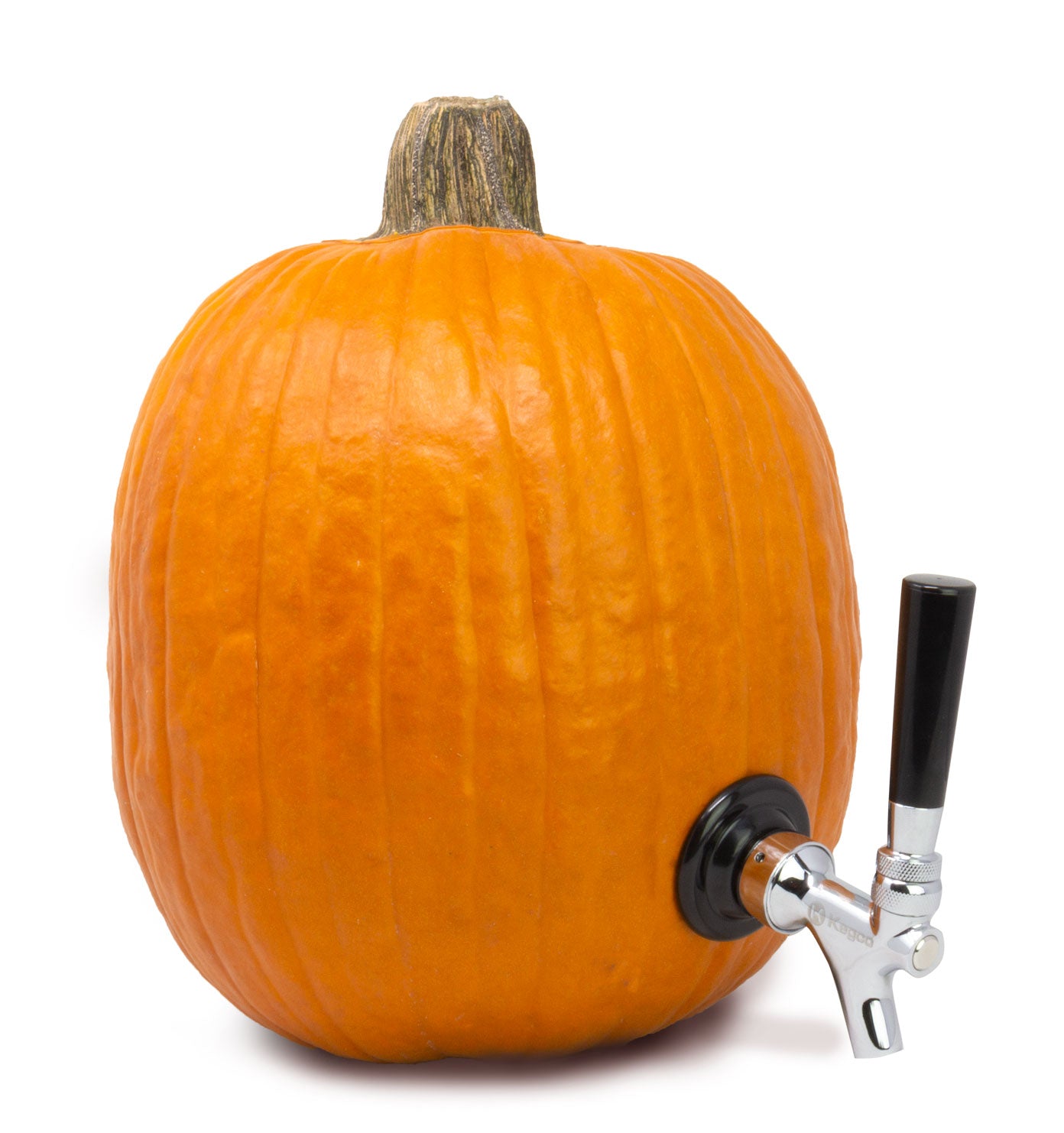 Pumpkin Tap Kit