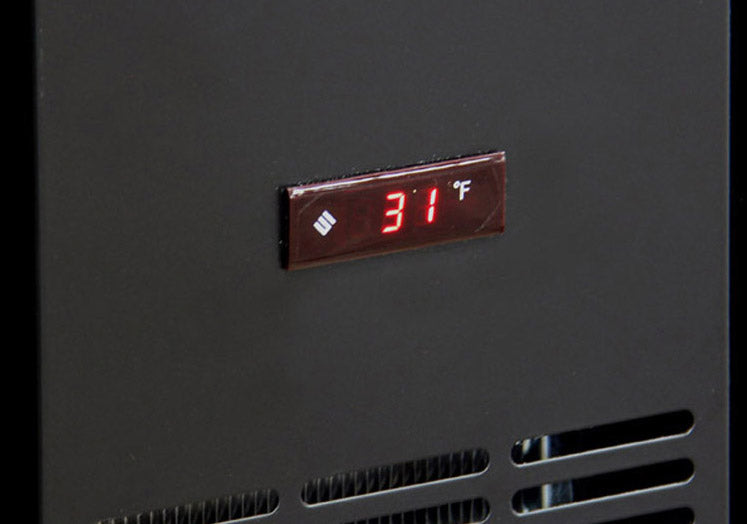 Digital Temperature Display