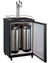 HBZ163B-3 Draft Beer Dispenser